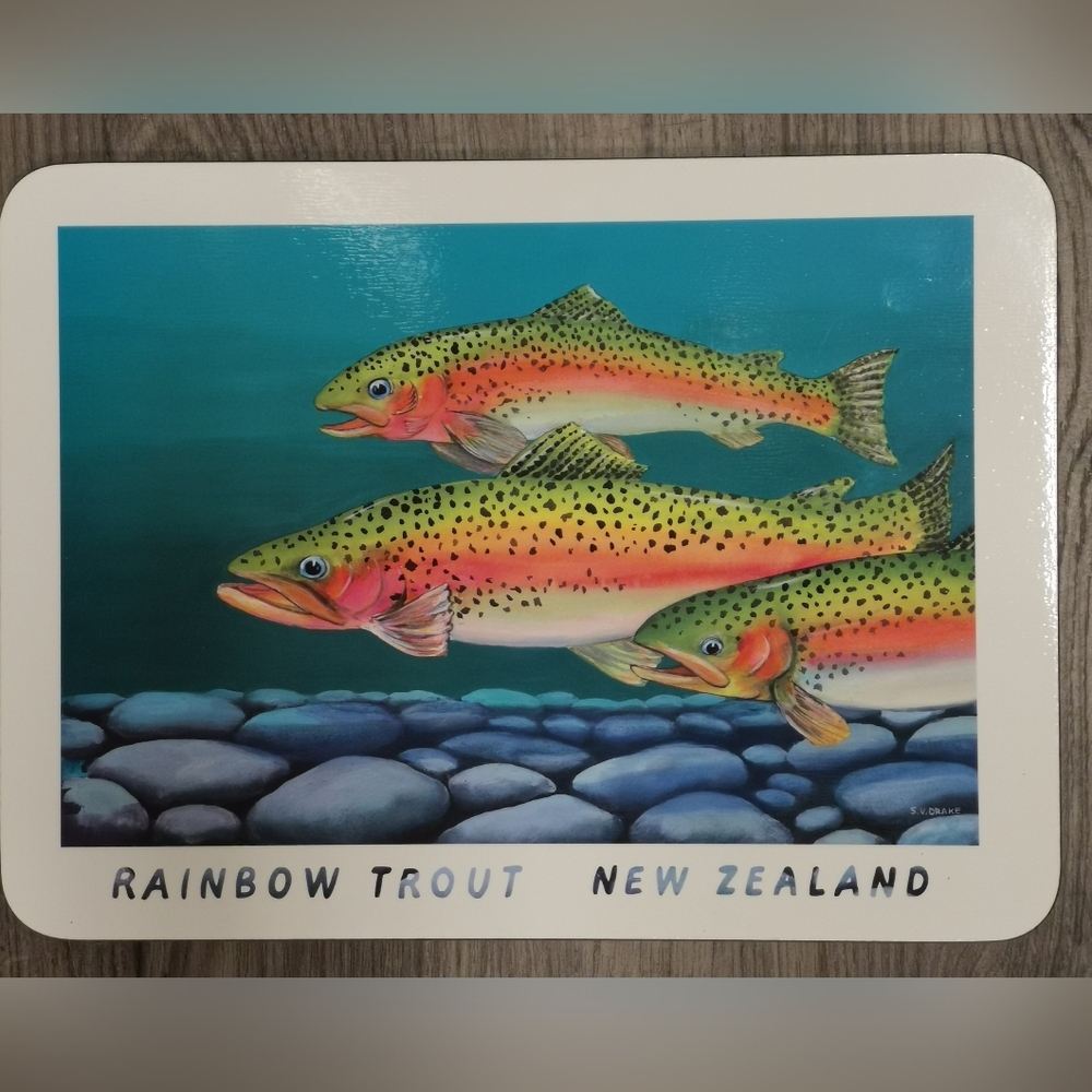 Jason Fish Placemats Set - "Underwater NZ" - Picture 3 of 10